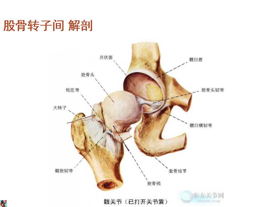 pfna ii型股骨髓内钉的临床应用 - 好医术早读文章