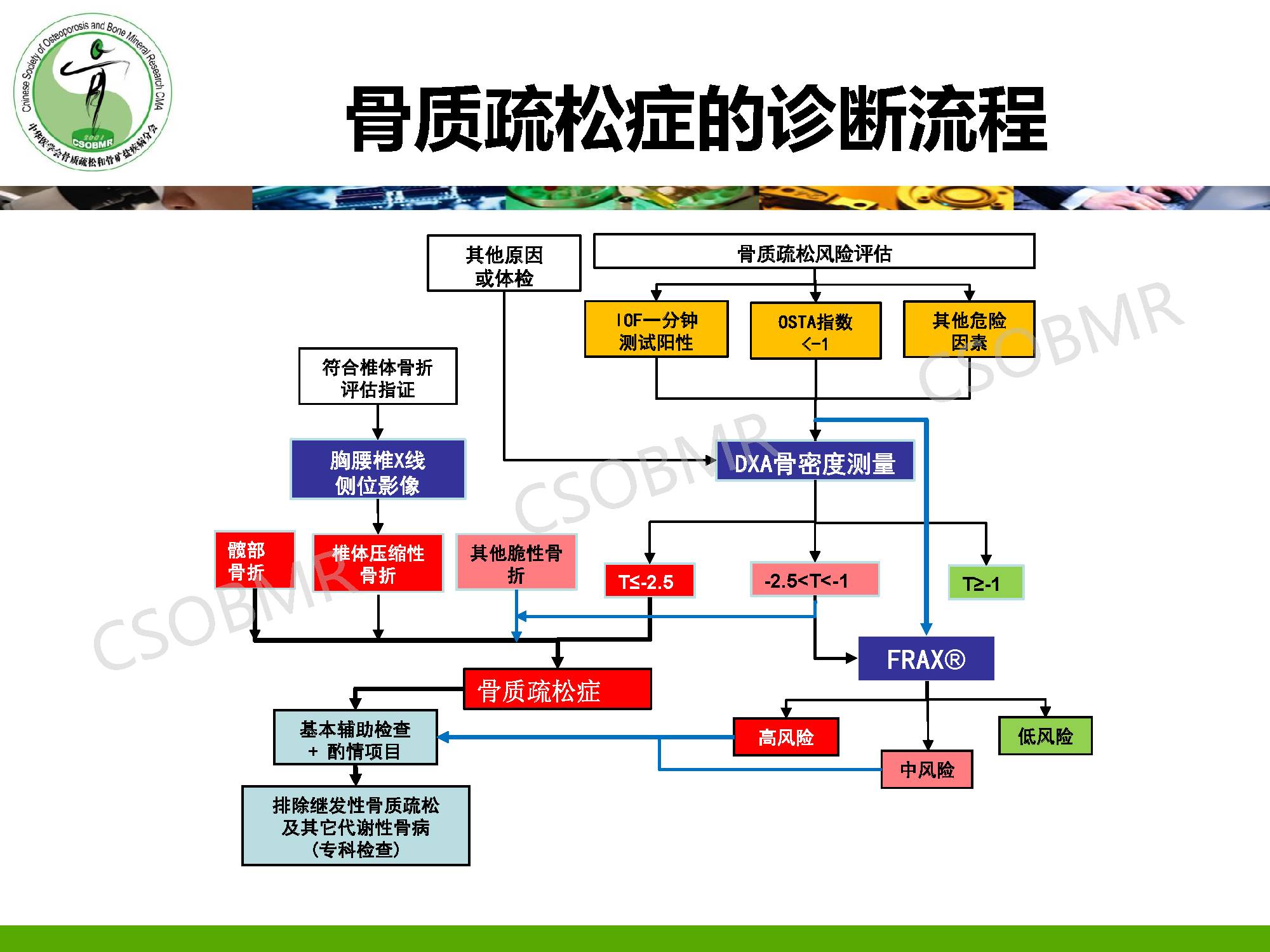 指南骨质疏松症临床表现诊断及鉴别诊断