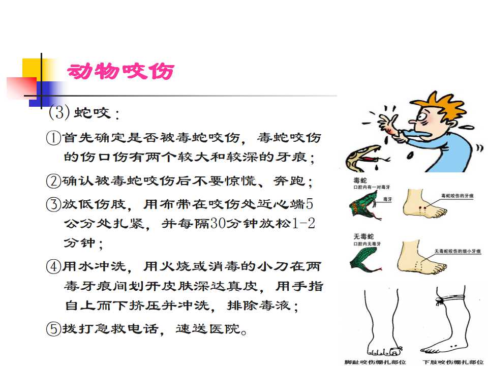 常见外伤的急救原则及方法