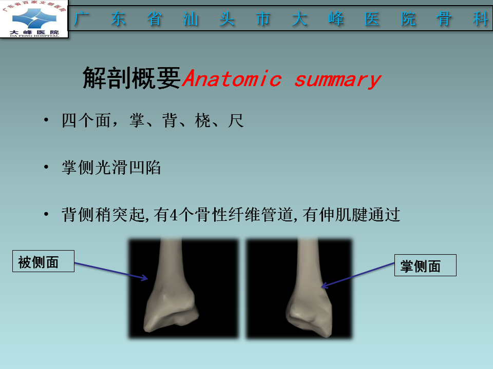 桡骨远端骨折的分型及治疗策略 好医术早读文章 好医术 赋能医生守护生命