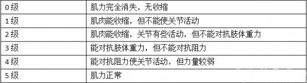文章详情