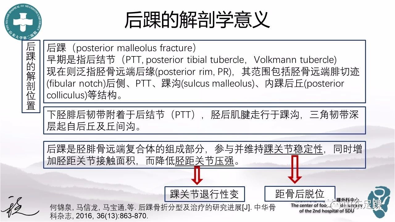 一篇掌握:後踝骨折的診斷與分型