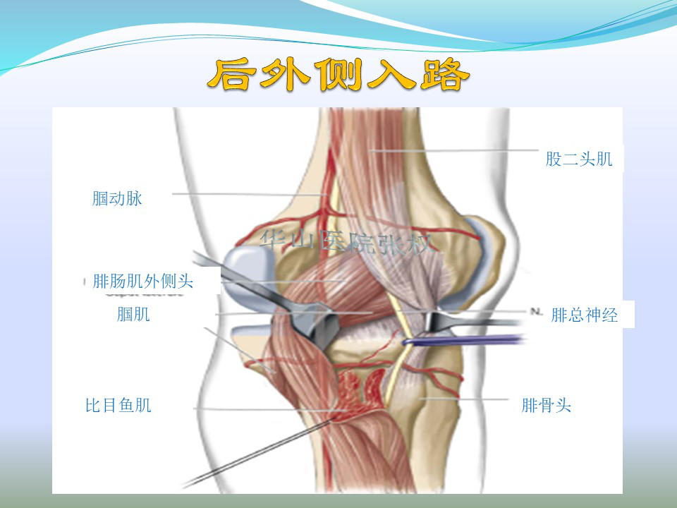 現主要從事骨科創傷的治療與復健,骨質疏鬆症的預防與治療.