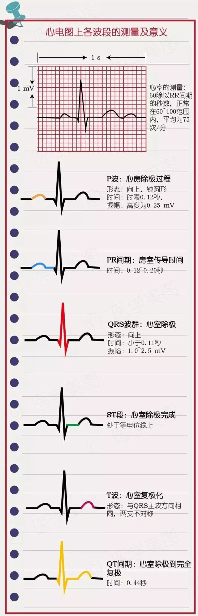 簡易心電圖教程(一):如何看正常心電圖