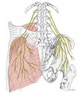 臀上皮神经卡压综合征,你遇到过吗?