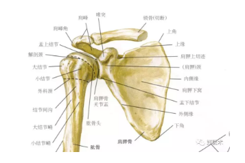 谈情说案