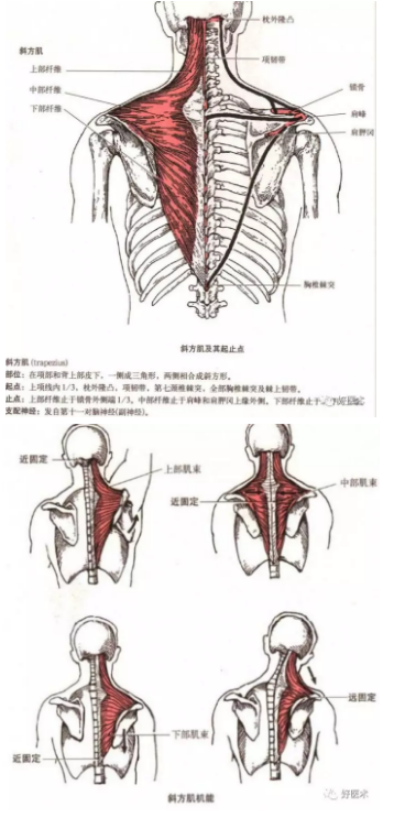 天安门的资料