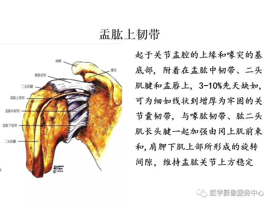 肩关节韧带及损伤的mr表现,都在这里了!