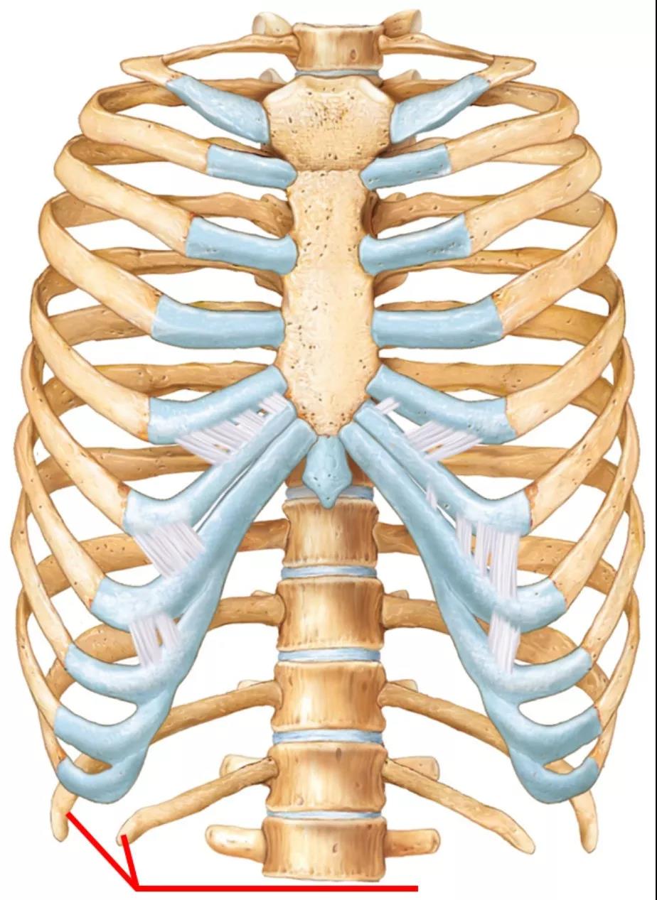 成人脊柱畸形的治疗,一文掌握!